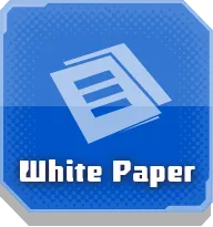 White Paper